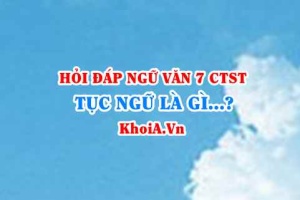 Tục ngữ là gì? Đặc điểm của tục ngữ là gì? Ngữ Văn lớp 7 CTST